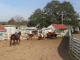 George Ranch 042