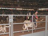 Houston Rodeo 018