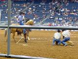Houston Rodeo 022