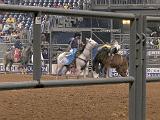 Houston Rodeo 030