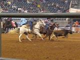 Houston Rodeo 032