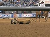 Houston Rodeo 037