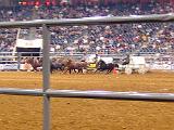 Houston Rodeo 051
