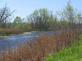 Brazos Bend 027