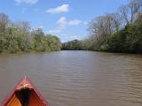 Armand Bayou 001