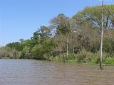 Armand Bayou 003