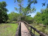 05 Sabal Palms Sanctuary 003