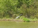 05 Sabal Palms Sanctuary 011