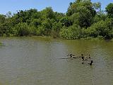 05 Sabal Palms Sanctuary 016