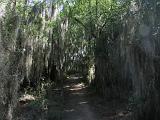 06 Santa Ana NWR3