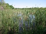 06 Santa Ana NWR4