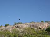 17 Enchanted Rock SP 003