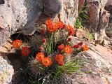 19 Inks Lake SP 002
