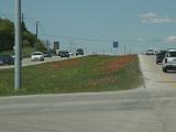 24 Road to Gruene 001