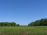 Sheldon Lake 022