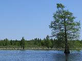 Sheldon Lake 025