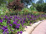 Mercer Arboretum 001