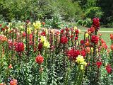 04-B Mercer Arboretum