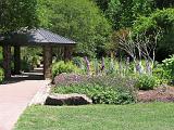 Mercer Arboretum 004