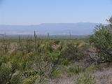 02 Ross Maxwell Scenic Drive 003