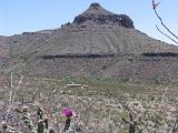 02 Ross Maxwell Scenic Drive 009