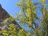 03 St Elena Canyon 009