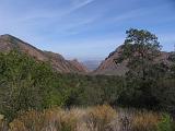 05 Chisos Mountains 006