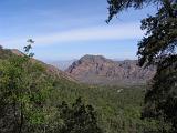 05 Chisos Mountains 010