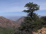05 Chisos Mountains 014