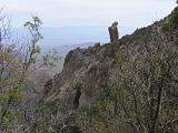 05 Chisos Mountains 023