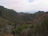 05 Chisos Mountains 040