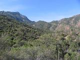 05 Chisos Mountains 051