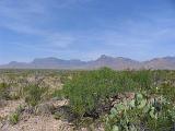 06 Desert Dirt Roads 006