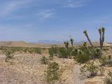06 Desert Dirt Roads 013