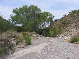06 Desert Dirt Roads 026