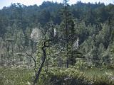 Weller Pond 012