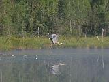 Weller Pond 013