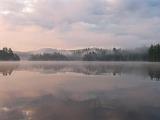 Weller Pond 020
