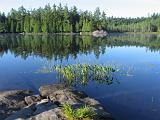 Weller Pond 034