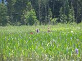Weller Pond 045