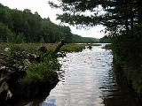 Lows Lake 008