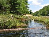 Lows Lake 009