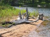 Lows Lake 013