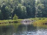 Lows Lake 016