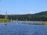 Lows Lake 028