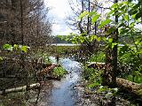 Lows Lake 036