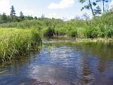 Lows Lake 041