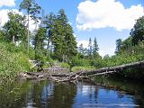 Lows Lake 043