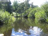 Lows Lake 044