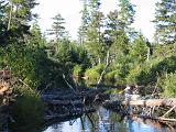 Lows Lake 049